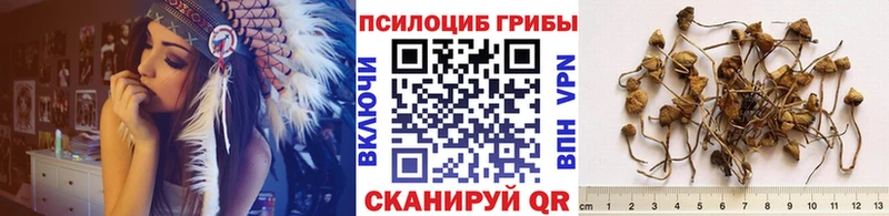 как найти   Томари  Псилоцибиновые грибы мухоморы 